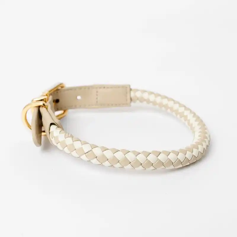 Rolled Braided Dog Collar