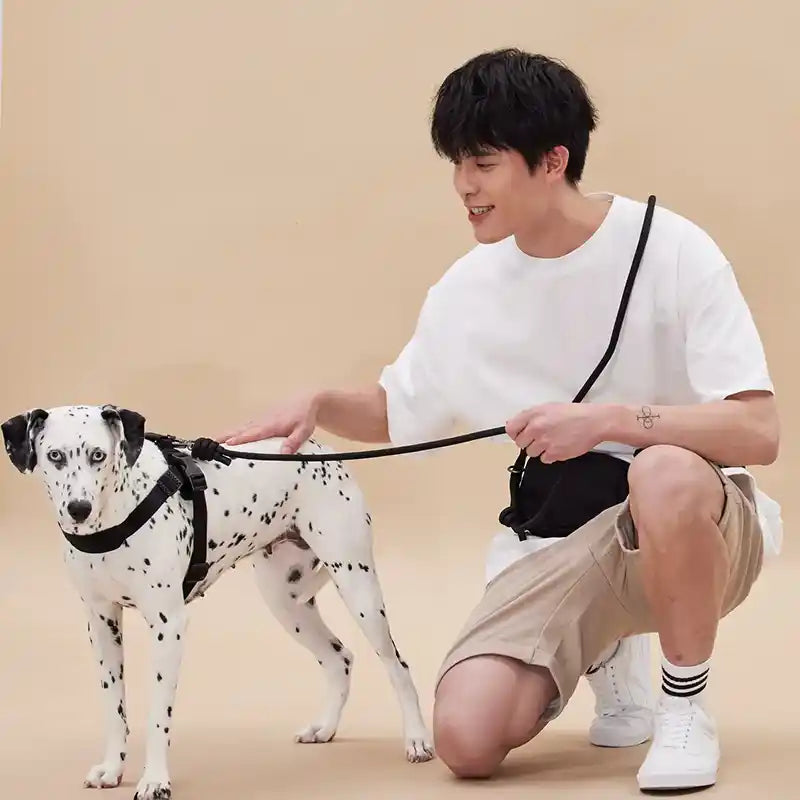 Rover Comfort Dog Harness