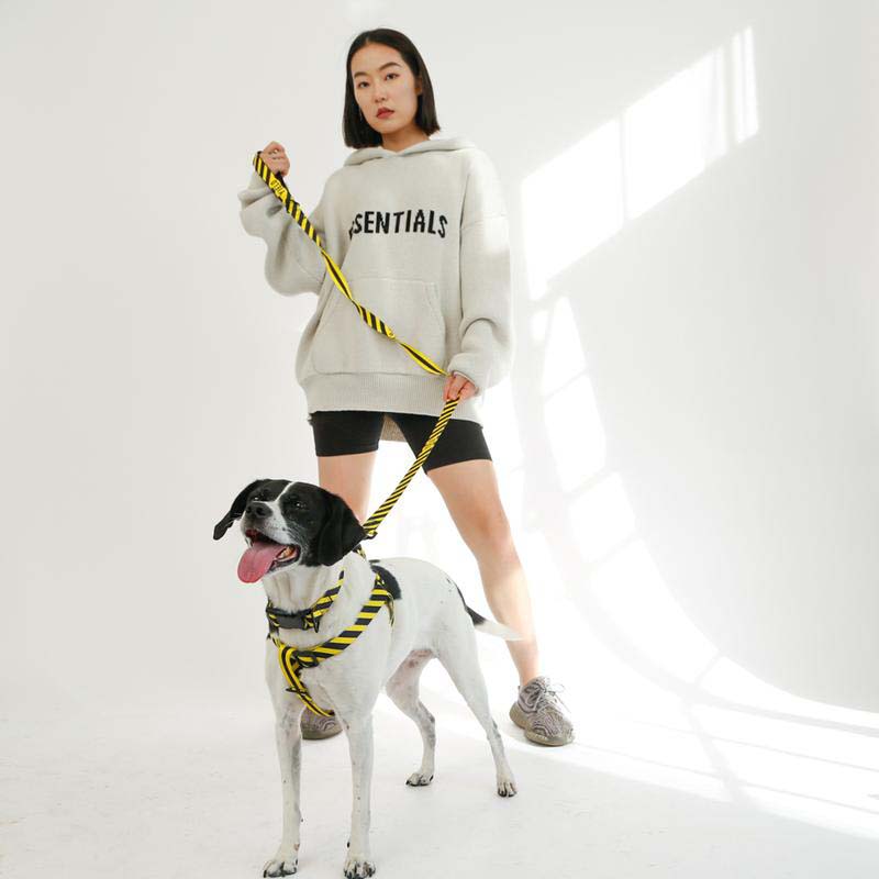 Yield Sport Dog Harness