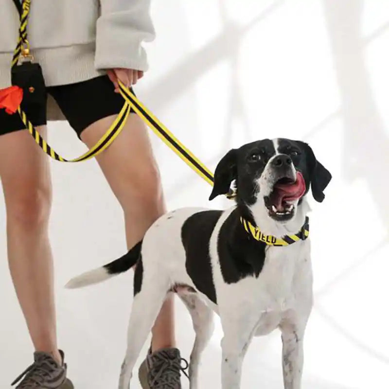 Yield Sport Dog Collar