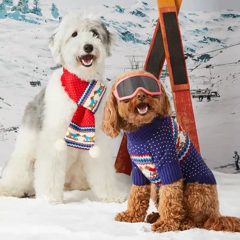 Gray Malin Hit the Slopes Dog Sweater
