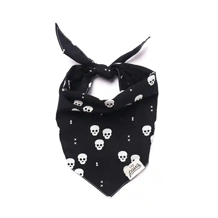 Skulls Dog Bandana
