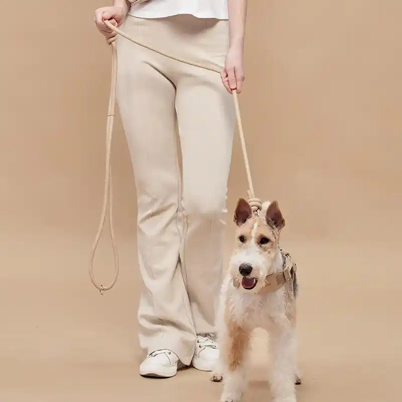 Rover Hands Free Rope Crossbody Leash