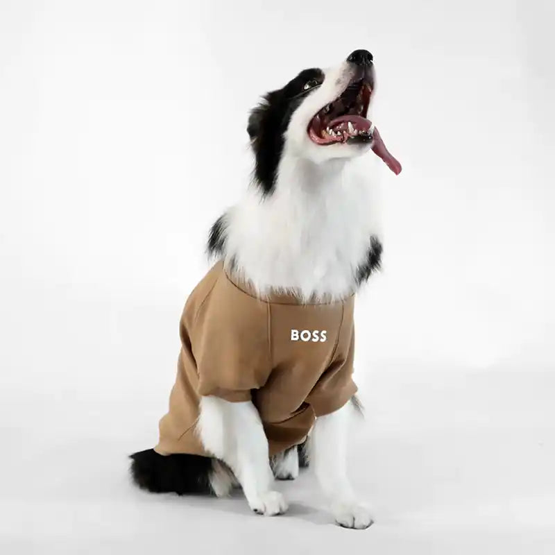 BOSS Dog Sweater