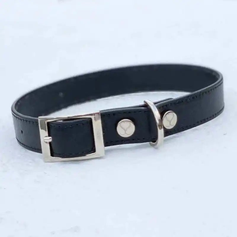 Taylor Dog Collar - Vegan Canvas