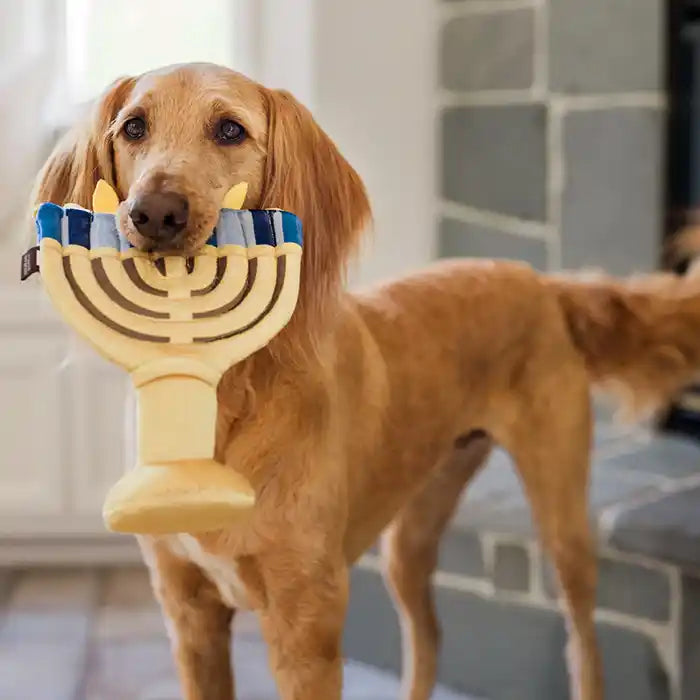 Paw-nukkah Menorah Dog Toy