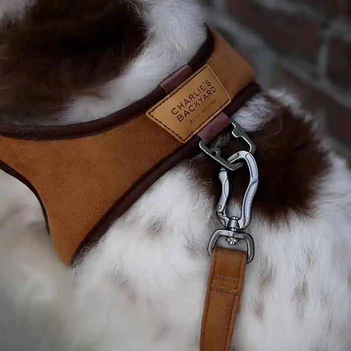 Town Dog Harness
