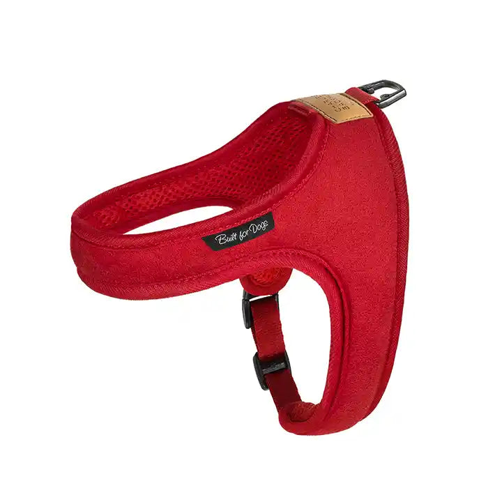 Town Dog Harness