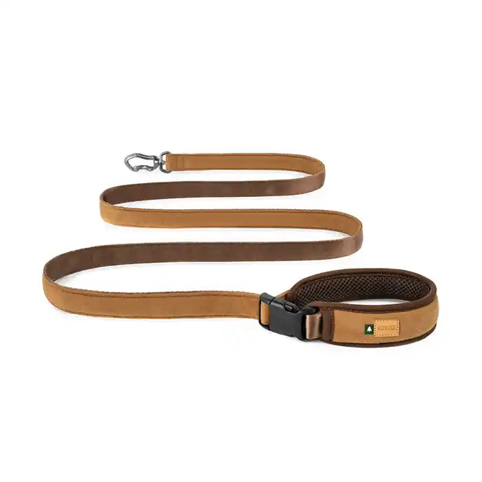Town Dog Leash