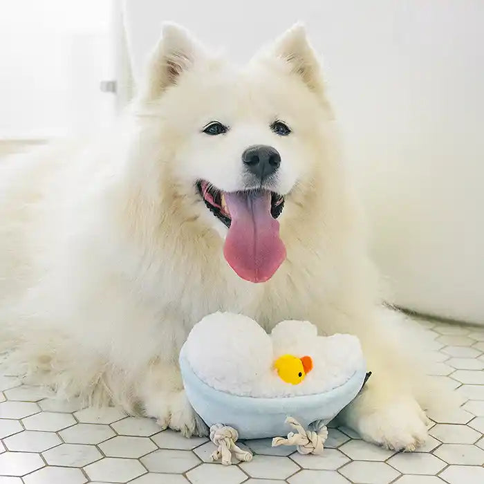 Bath Time Plush Dog Toy