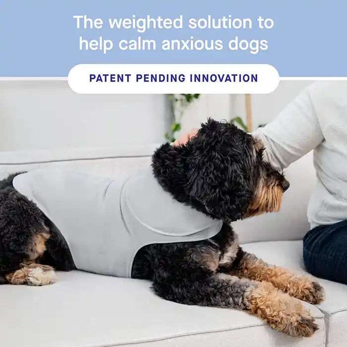 Weighted Calming Dog Vest